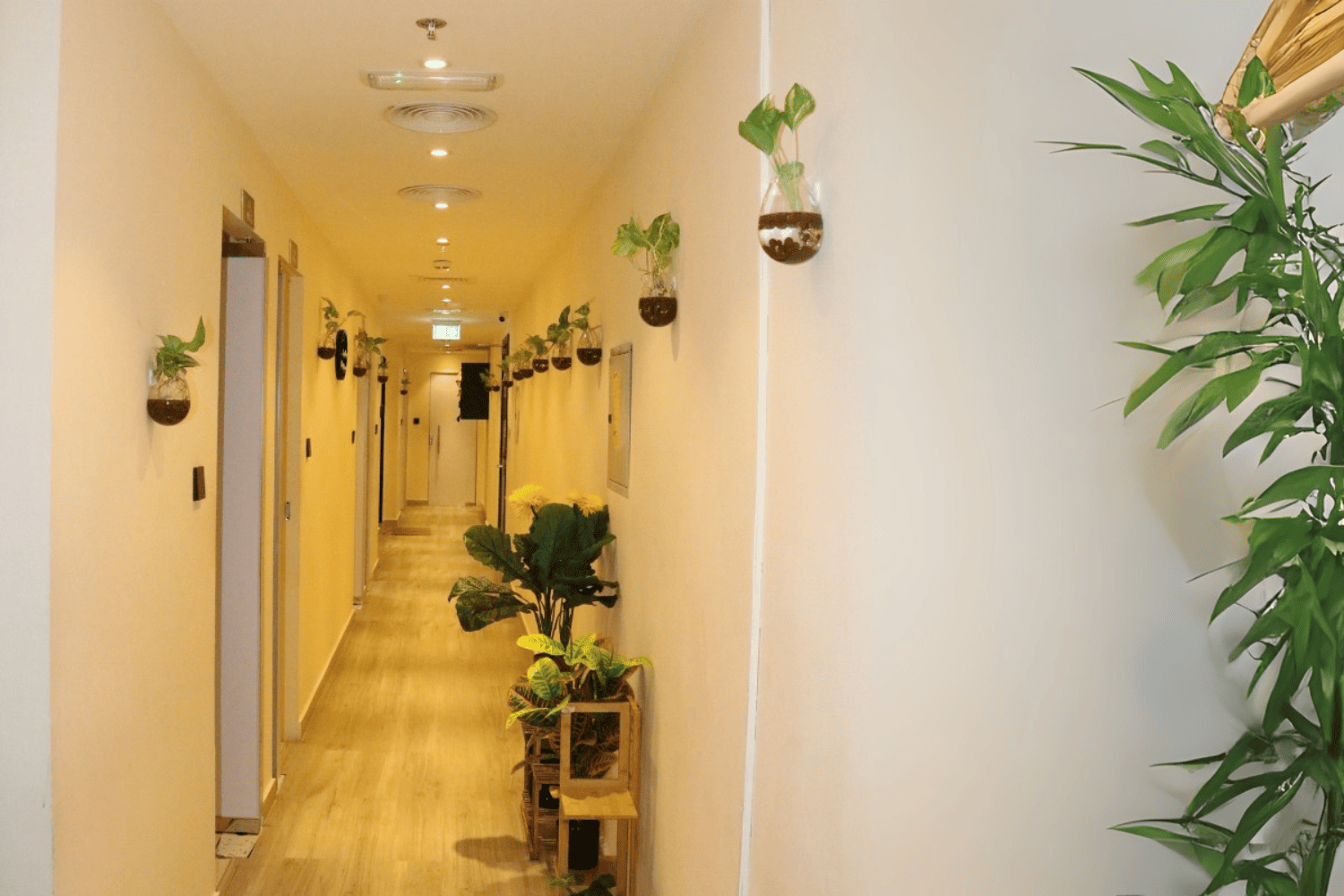 Mantra-SPA-4
